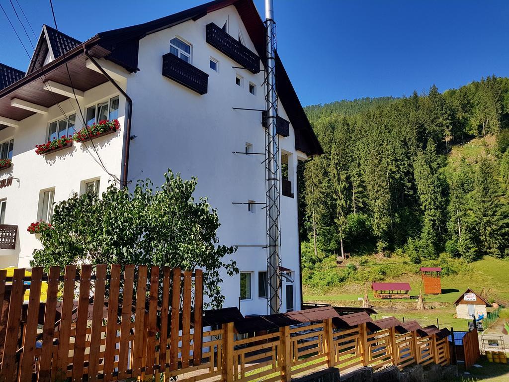 Pensiunea Perla Ariesului Albac Exterior foto